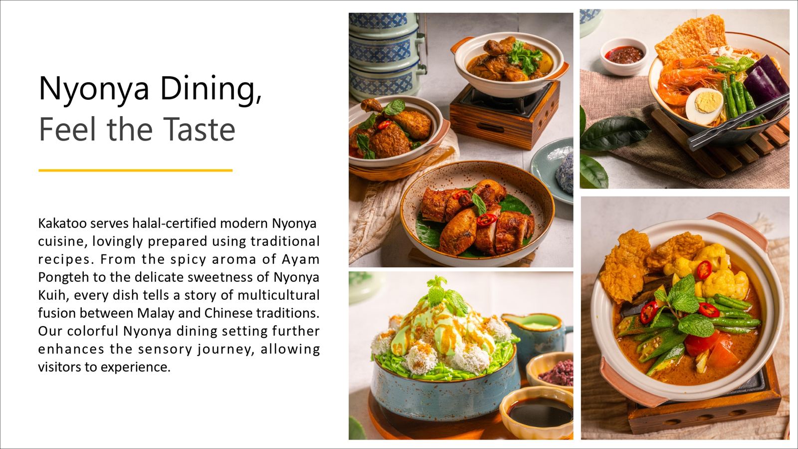 Kakatoo Be A Day of Nyonya page 0012